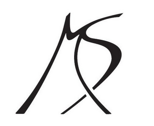 MS logo