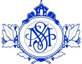 MS logo