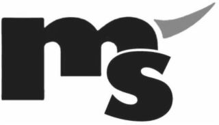 MS logo
