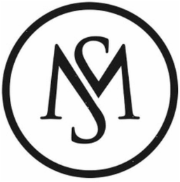 MS logo
