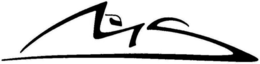 MS logo