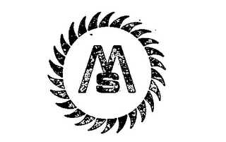 MS logo