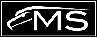 MS logo
