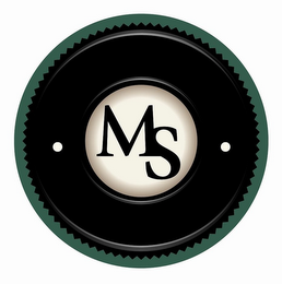 MS logo