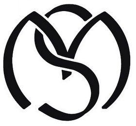 MS logo