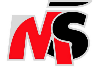 MS logo