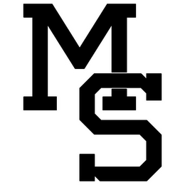 MS logo