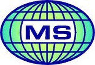 MS logo