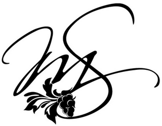 MS logo