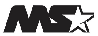 MS logo
