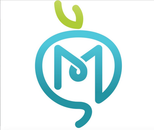 MS logo