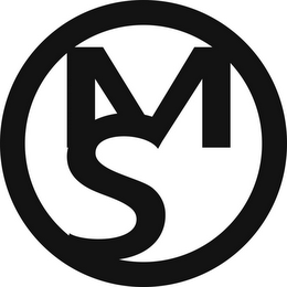 MS logo
