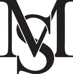 MS logo