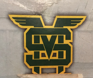 MS logo