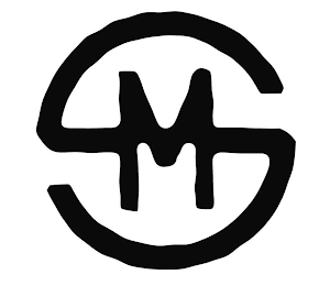 MS logo