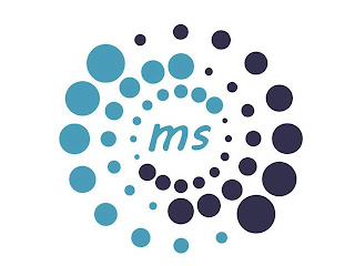 MS logo