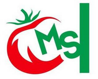 MS logo