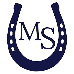 MS logo