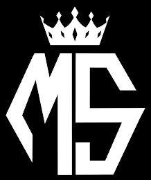 MS logo