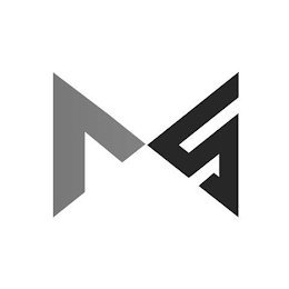MS logo