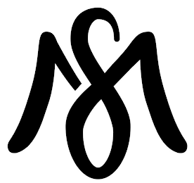 MS logo
