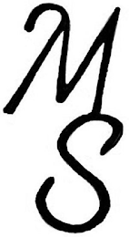 MS logo