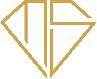 MS logo