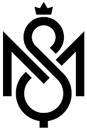 MS logo