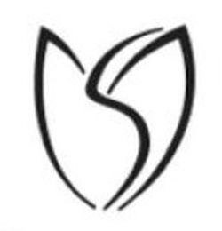 MS logo