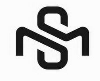 MS logo