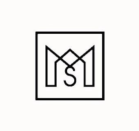 MS logo