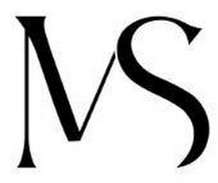 MS logo
