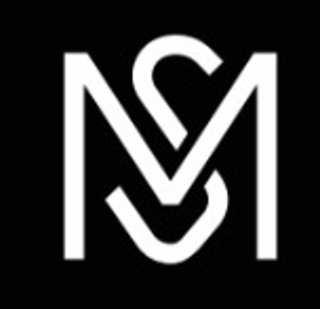 MS logo