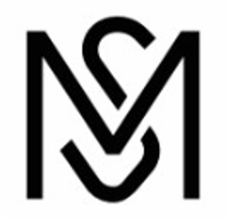 MS logo