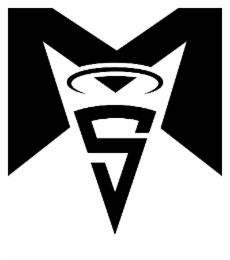 MS logo