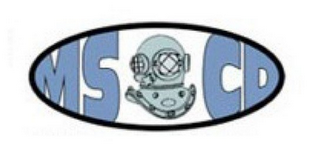 MS CD logo