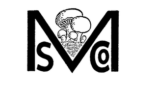 MS CO logo