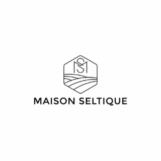 MS MAISON SELTIQUE logo
