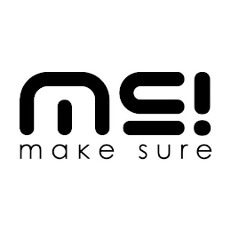 MS! MAKE SURE logo
