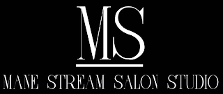 MS MANE STREAM SALON STUDIO logo