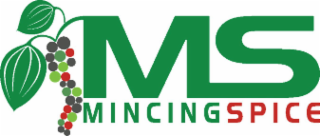MS MINCINGSPICE logo