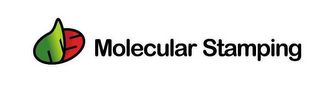 MS MOLECULAR STAMPING logo