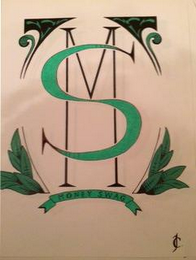 MS MONEY SWAG logo
