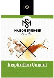 MS MS MAISON SPRINGER DEPUIS 1872 INSPIRATION UMAMI logo