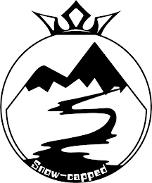 MS SNOW-CAPPED logo