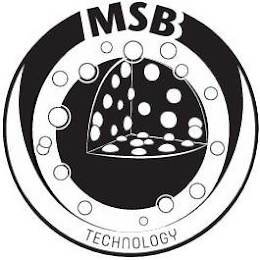 MSB TECHNOLOGY logo