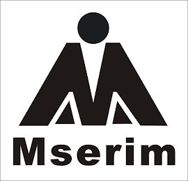 MSERIM logo