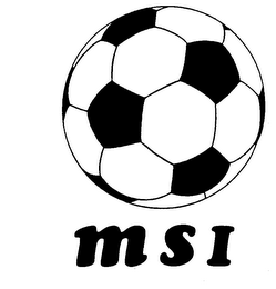 MSI logo