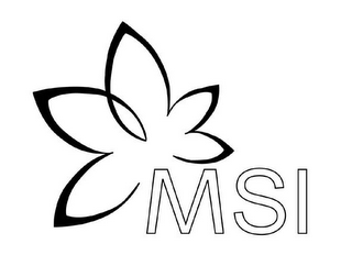MSI logo