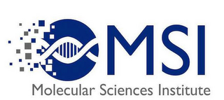 MSI MOLECULAR SCIENCES INSTITUTE logo